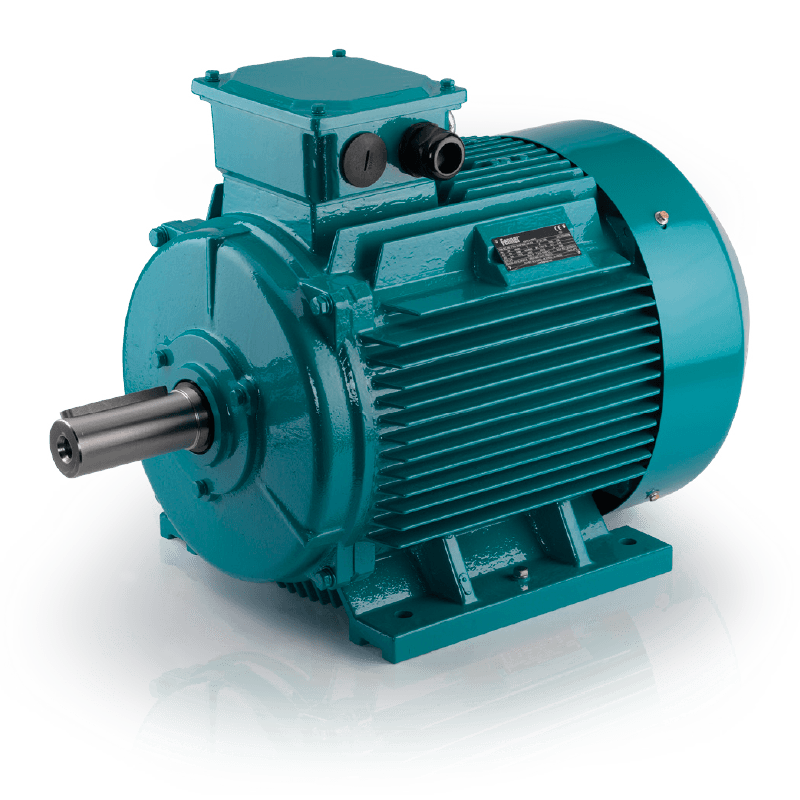 FM4 IE3 Cast Iron Electric Motors