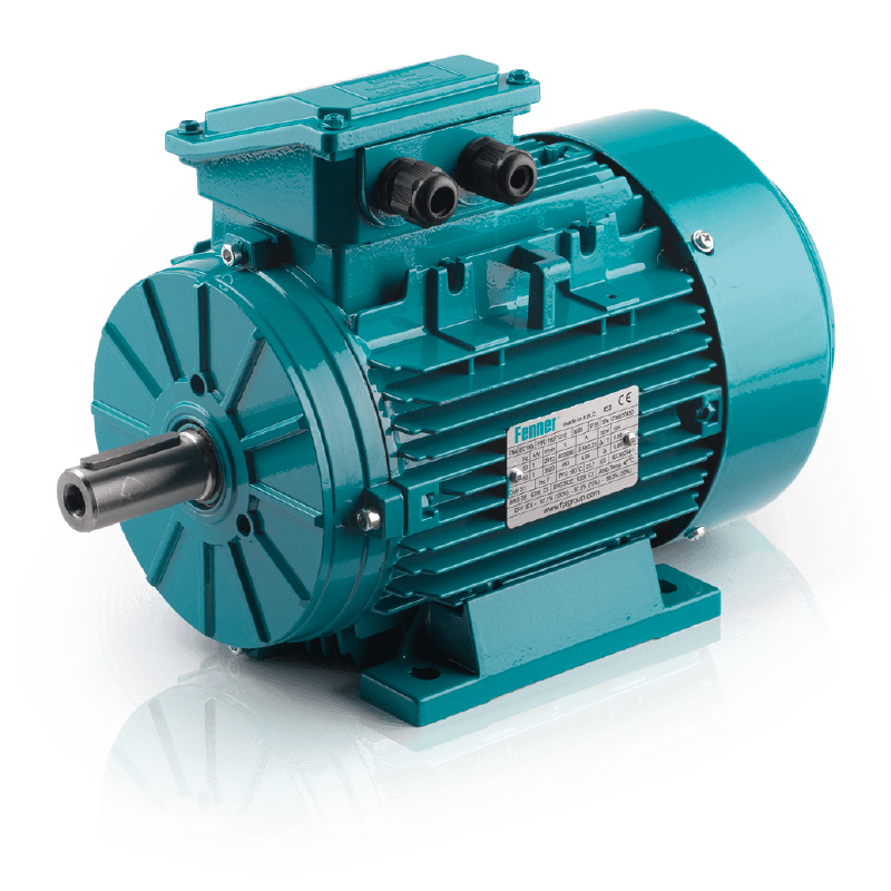 FM4 IE4 Aluminium Electric Motors