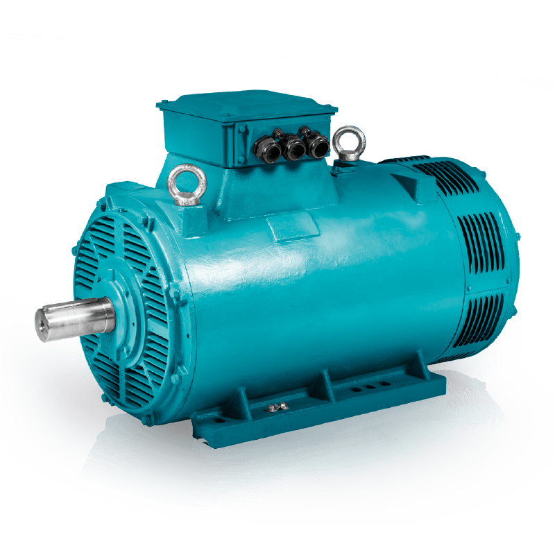 FM4 IEP23 Low Voltage Electric Motors